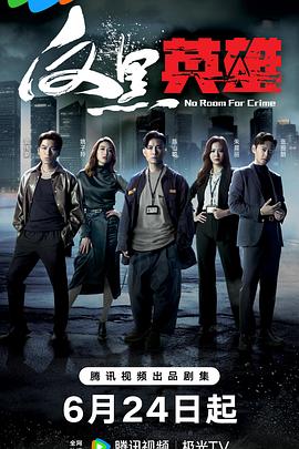 seo排名优化零金手指专业15